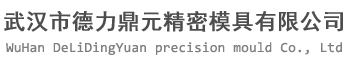 武汉市德力鼎元精密模具有限公司